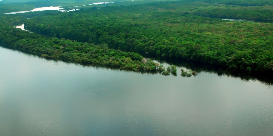 EUA estão empenhados em arrecadar recursos “vultosos” para Amazônia