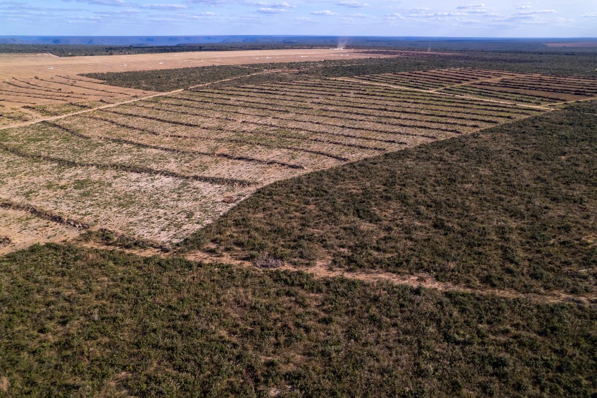 Desmatamento encolhe 29% no Cerrado, mas seca preocupa