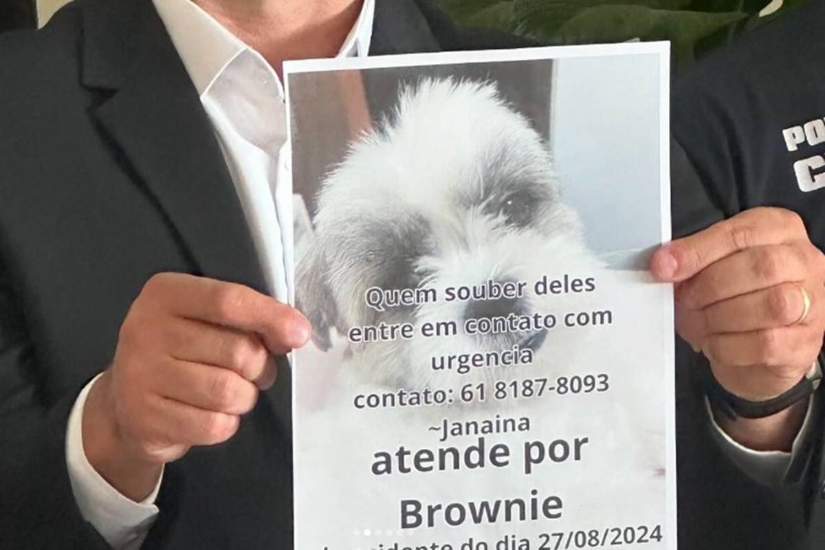 Cachorro de casal vítima de incêndio é encontrado morto sob escombros