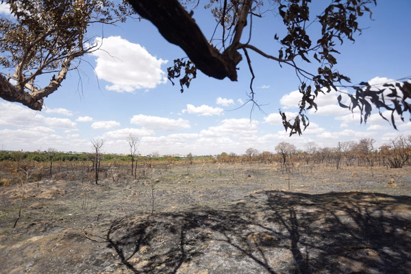 Caso João Miguel: garoto estava com mãos amarradas e tecido no pescoço