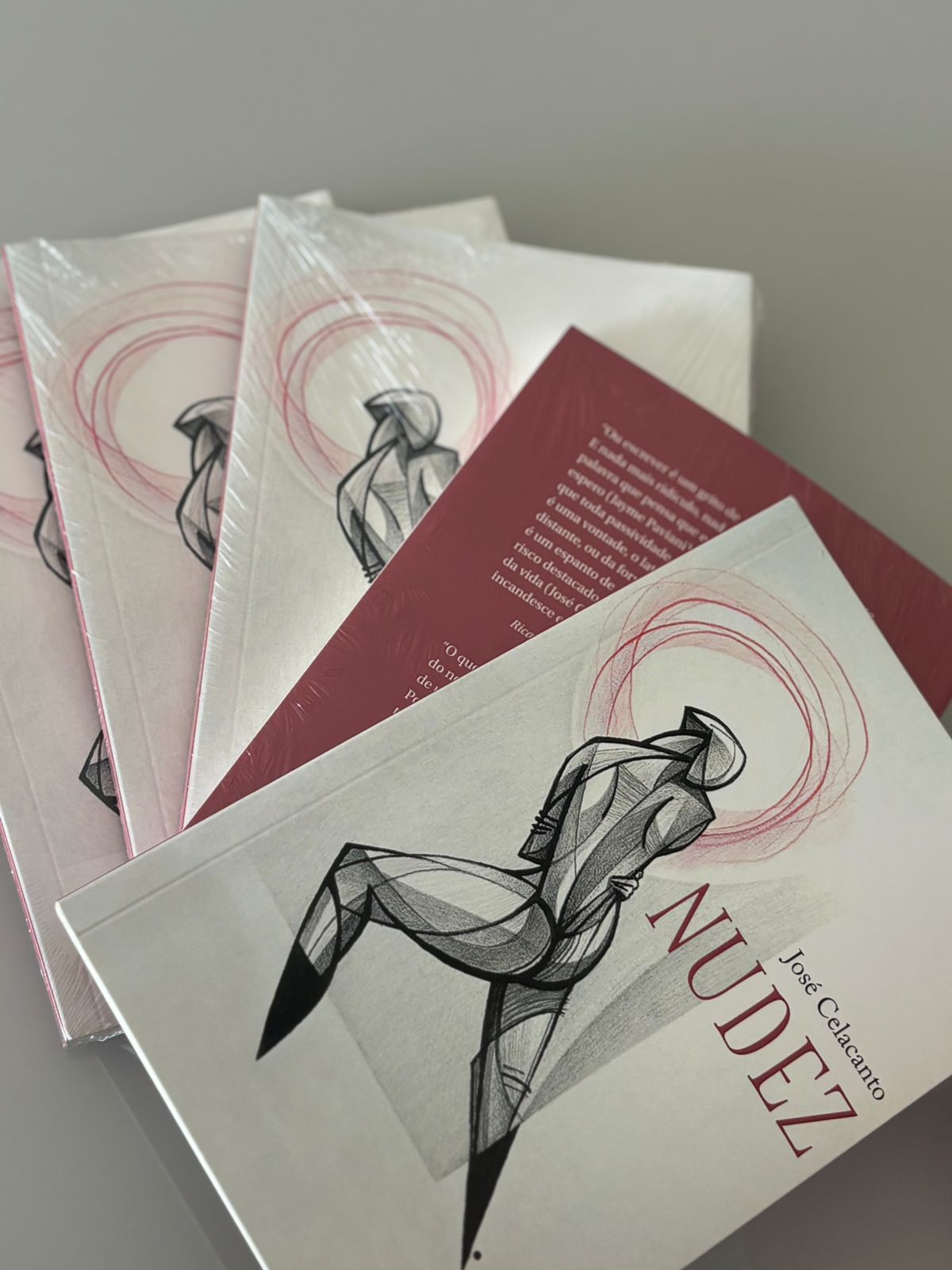 “Nudez”: José Celacanto estreia sua primeira obra na Academia Imperatrizense de Letras