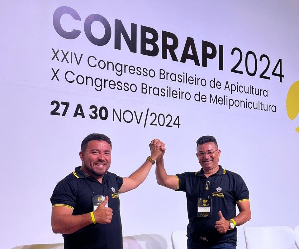 Maranhão conquista reconhecimento nacional com o melhor mel de abelhas sem ferrão do Brasil