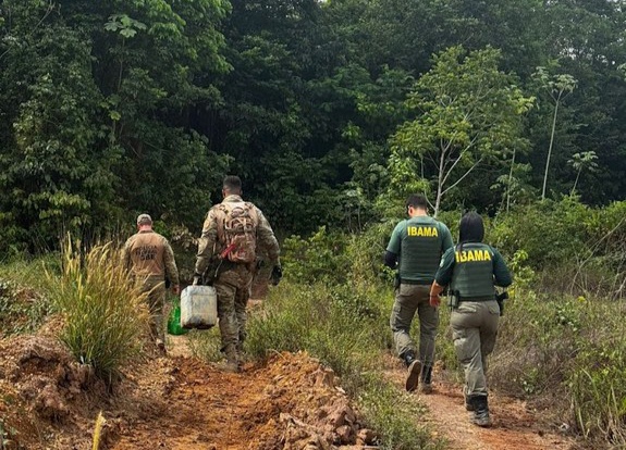 Polícia Federal combate garimpo ilegal e plantio de maconha no Maranhão