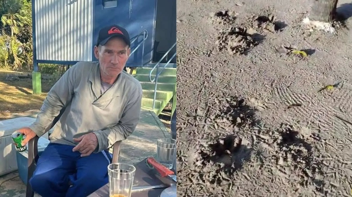 VÍDEO: Caseiro é devorado por onça-pintada em fazenda no Mato Grosso do Sul