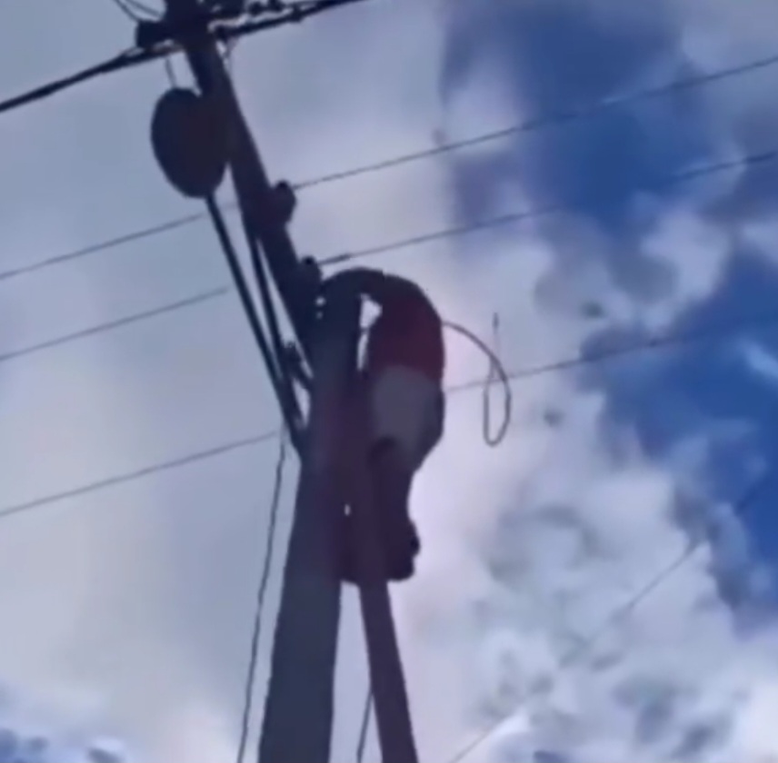 Mulher filma momento que marido recebe descarga elétrica
