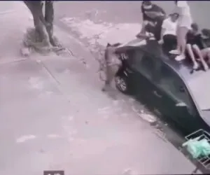 Crianças sobem no teto de carro para escapar de ataque de pitbull