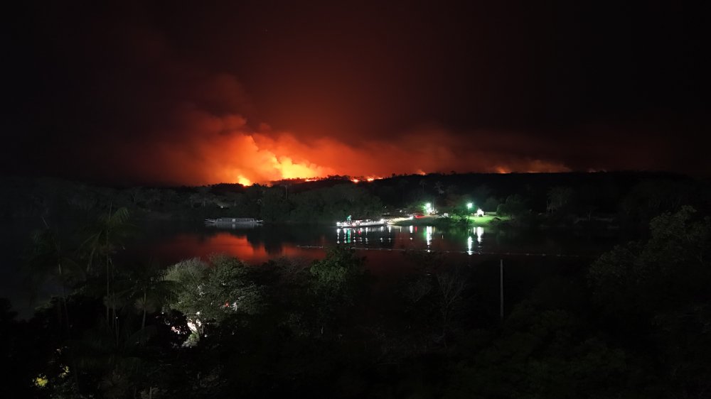 Incêndio de grandes proporções atinge área de mata às margens da PI 130, em Palmeirais
